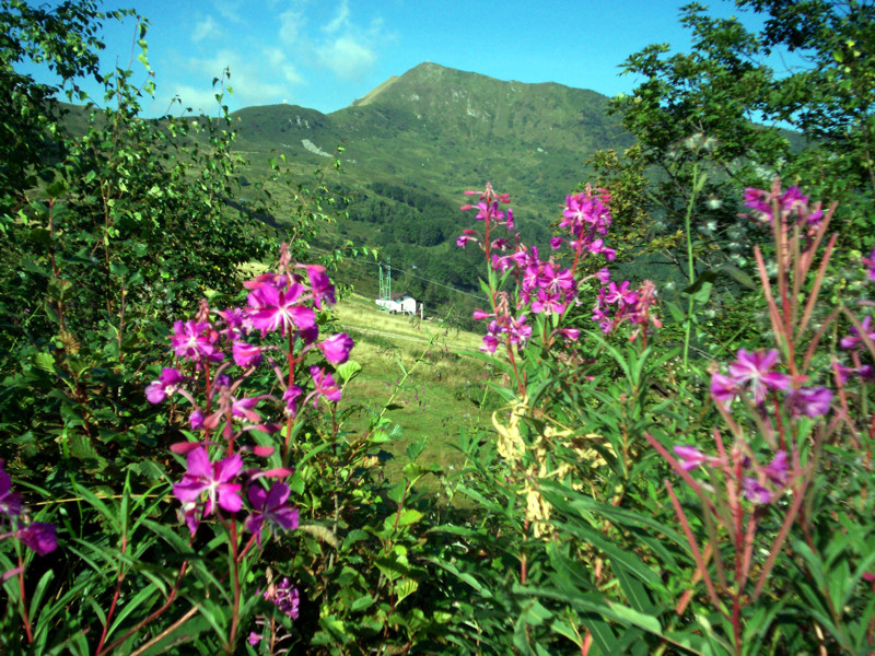 Cima Ometto - Testone tre Alpi